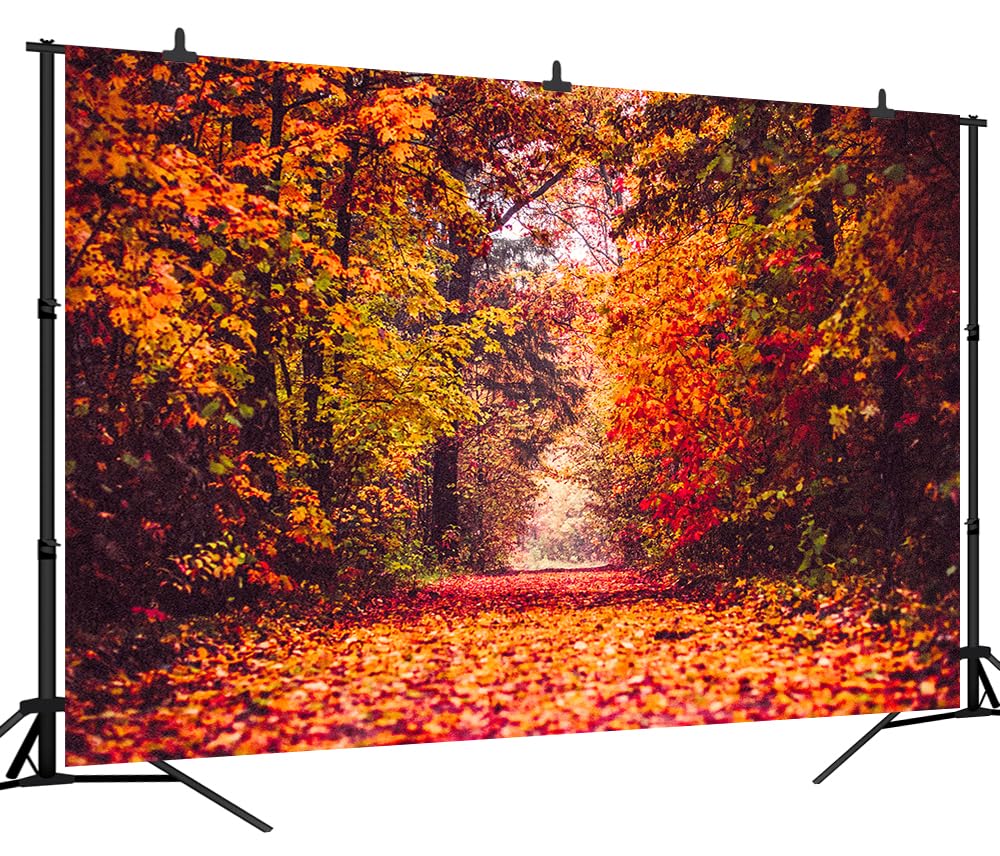Fall Leaves Forest Autumn Backdrop - Maple Leaves Natural Scenery Photography Background for Seasonal Decor, Birthday Parties, Weddings & Photo Studio Booth Props (Customizable)