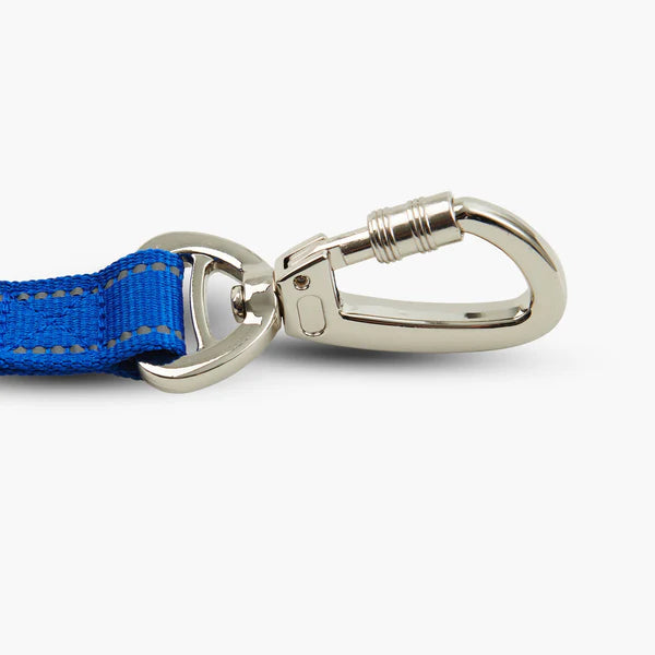 Premium Classic Blue Dog Leash by Dog Friendly Co. - Durable & Comfortable for Daily Walks, Training & Outdoor Adventures