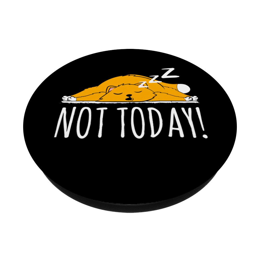 Funny Cat Design PopSockets Swappable PopGrip - Cute 'Not Today' Cat Phone Grip & Stand for iPhone, Samsung | Perfect Gift for Cat Lovers, Office Desk & Car Use