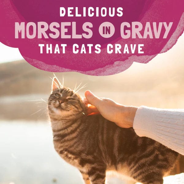Natural Balance Platefulls Turkey, Salmon & Chicken Recipe Morsels in Gravy - Grain-Free Soft Cat Food Pouches for Adult & Senior Cats - Perfect for Picky Eaters & Mealtime Hydration