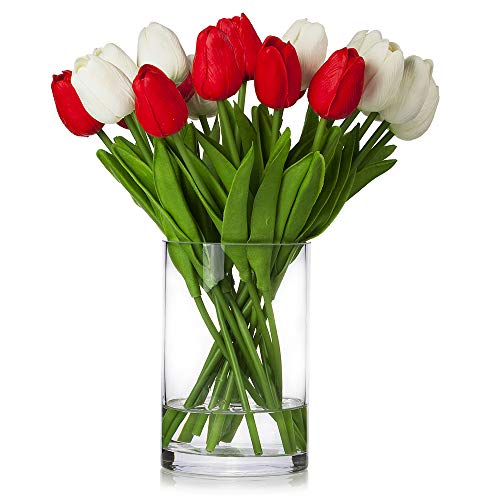 White Red