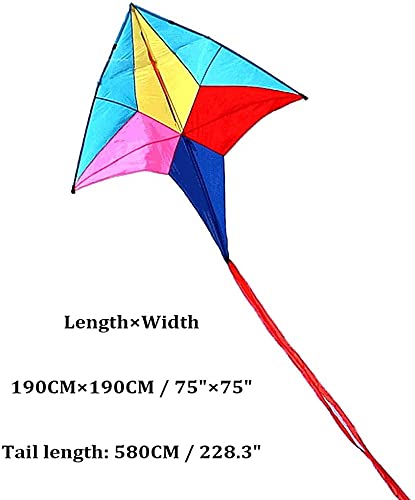 Easy-to-Fly Colorful Polaris Kites with Tails for Adults & Kids - Beginner Beach Kites with 800M String & Reel - Perfect for Outdoor Activities, Family Picnics, and Beach Trips
