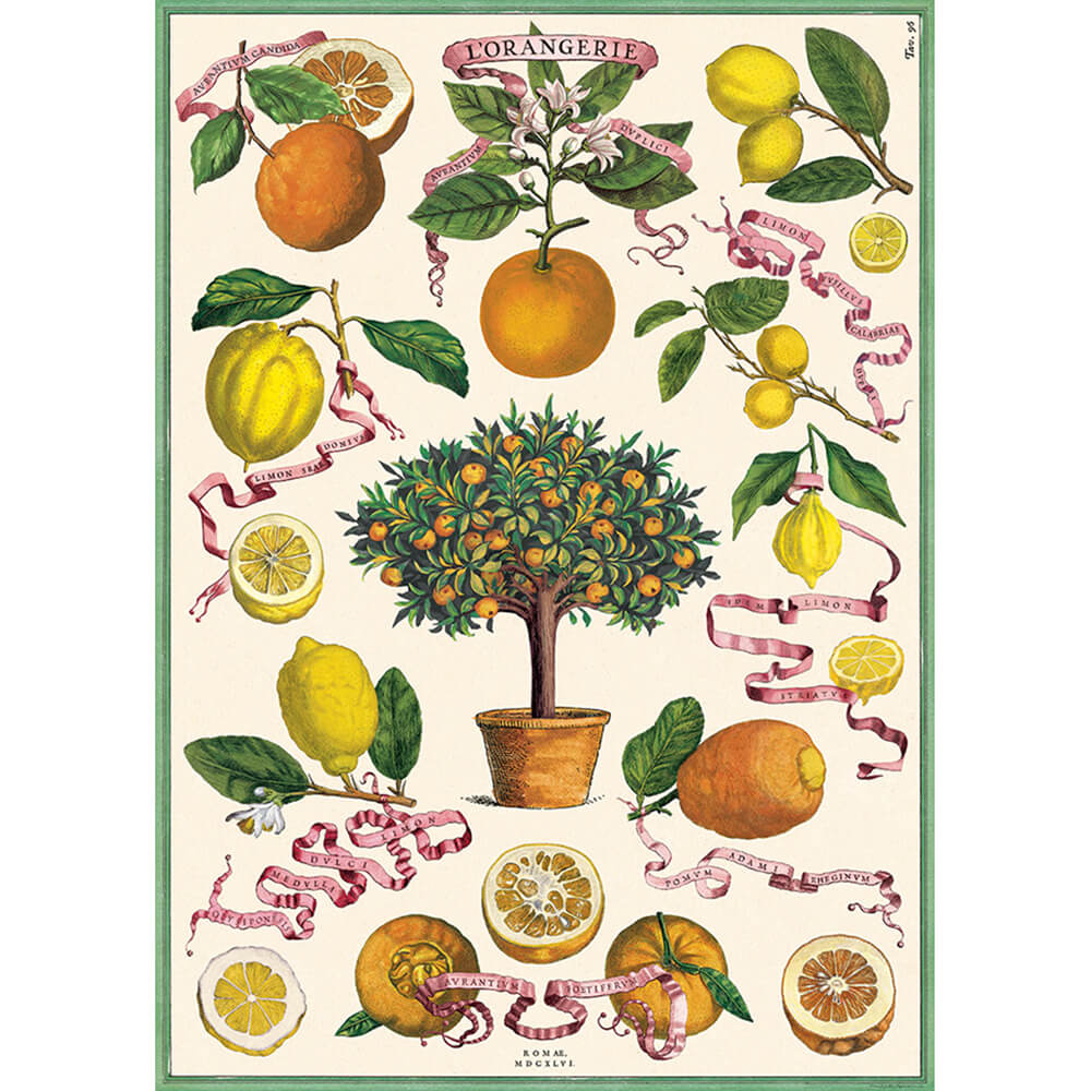 L'Orangerie Wrapping Paper - Elegant Floral Design for Gift Wrapping, Party Decorations & Special Occasions