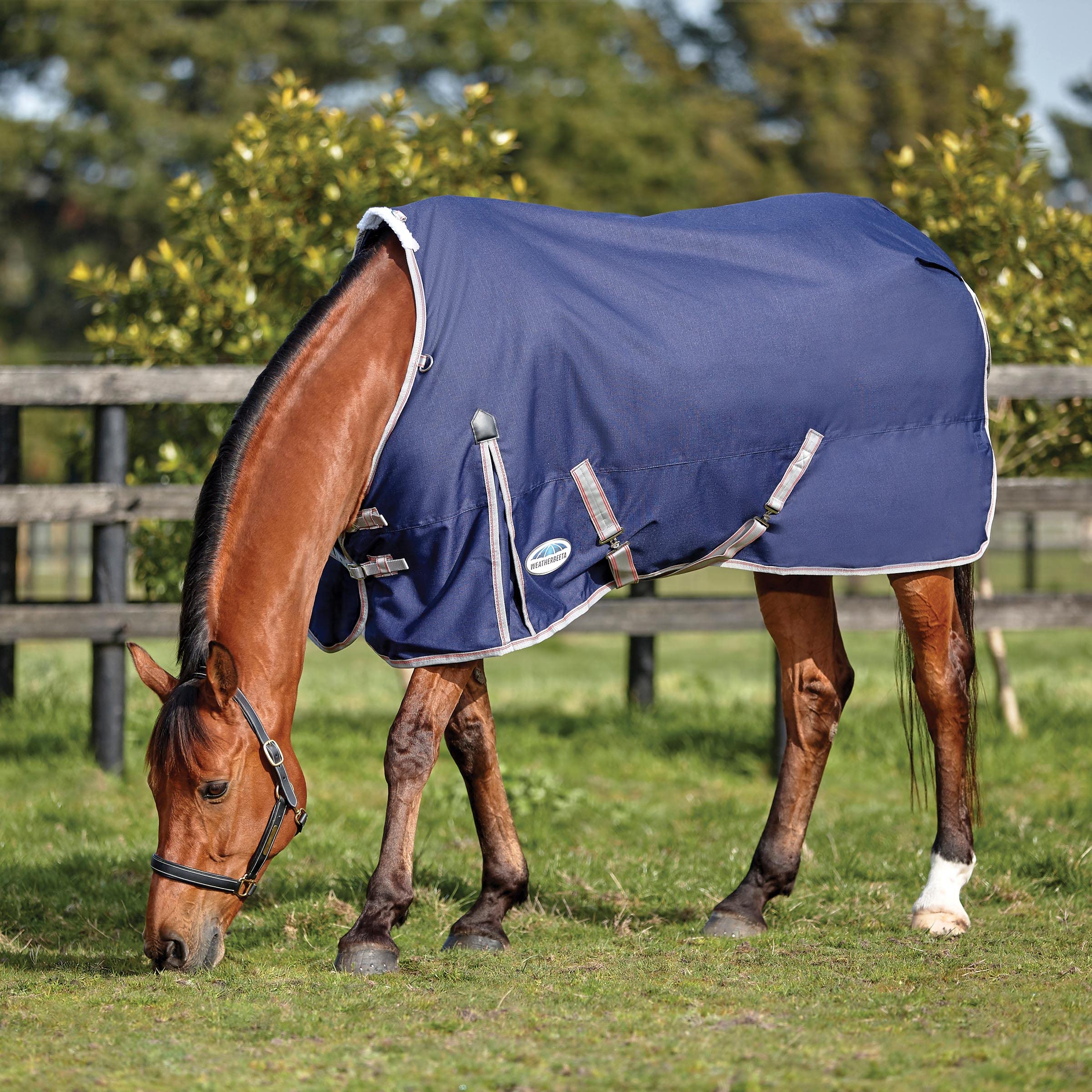 WeatherBeeta ComFiTec Essential Standard Neck Lite Horse Blanket - Navy/Silver/Red - 54 Inch - Waterproof & Breathable - Ideal for Turnout & Stable Use