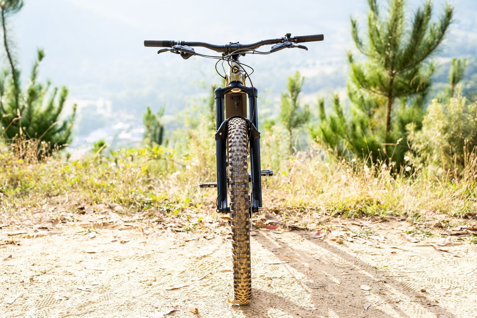 Polygon Siskiu T7E Electric Mountain Bike - 29