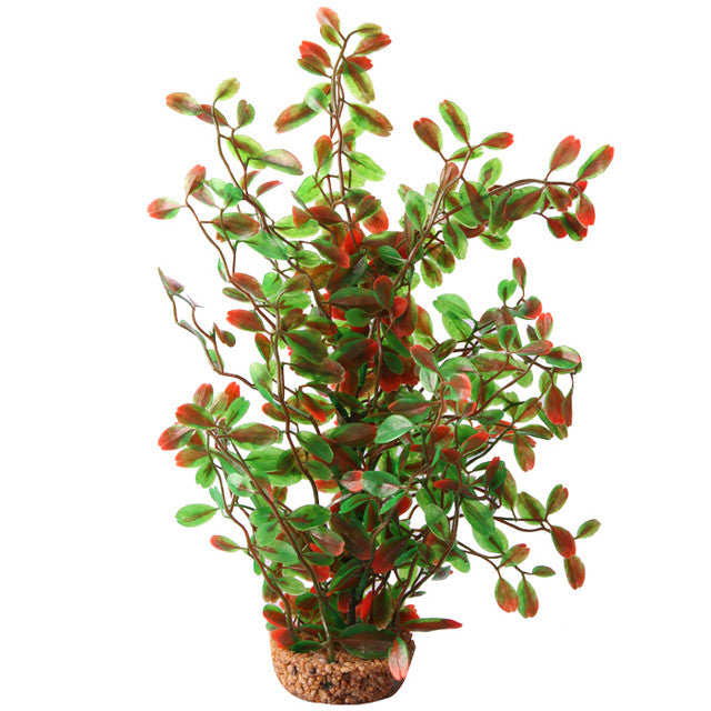 Aqua One Ecoscape Large Calidum ET Folius Green - Premium Aquarium Plants for Freshwater Fish Tanks - Perfect for Home & Office Aquascaping