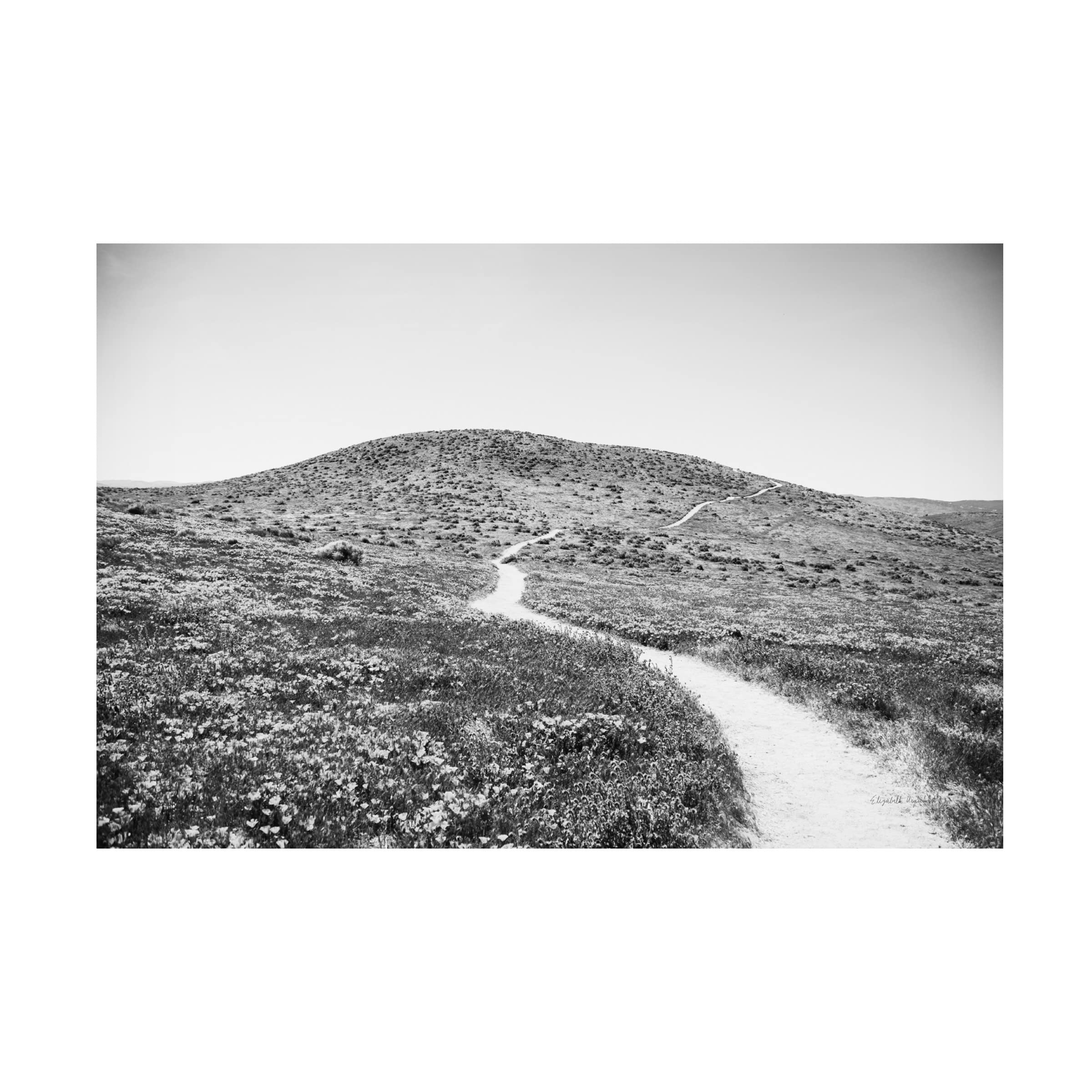 Trademark Fine Art 'Road Trip V' Canvas Art Print by Elizabeth Urquhart - Vintage Travel Inspired Wall Decor for Living Room, Bedroom & Office