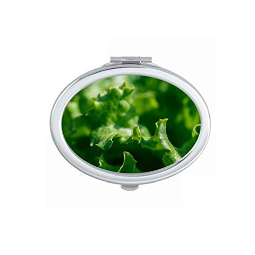 DIYthinker Portable Foldable Double-Sided Mirror with Tender Leaf Plant Nature Photography Design - Perfect for Travel, Makeup, and Home Decor