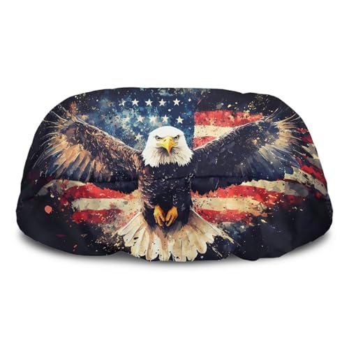 Eagle American Flag -1