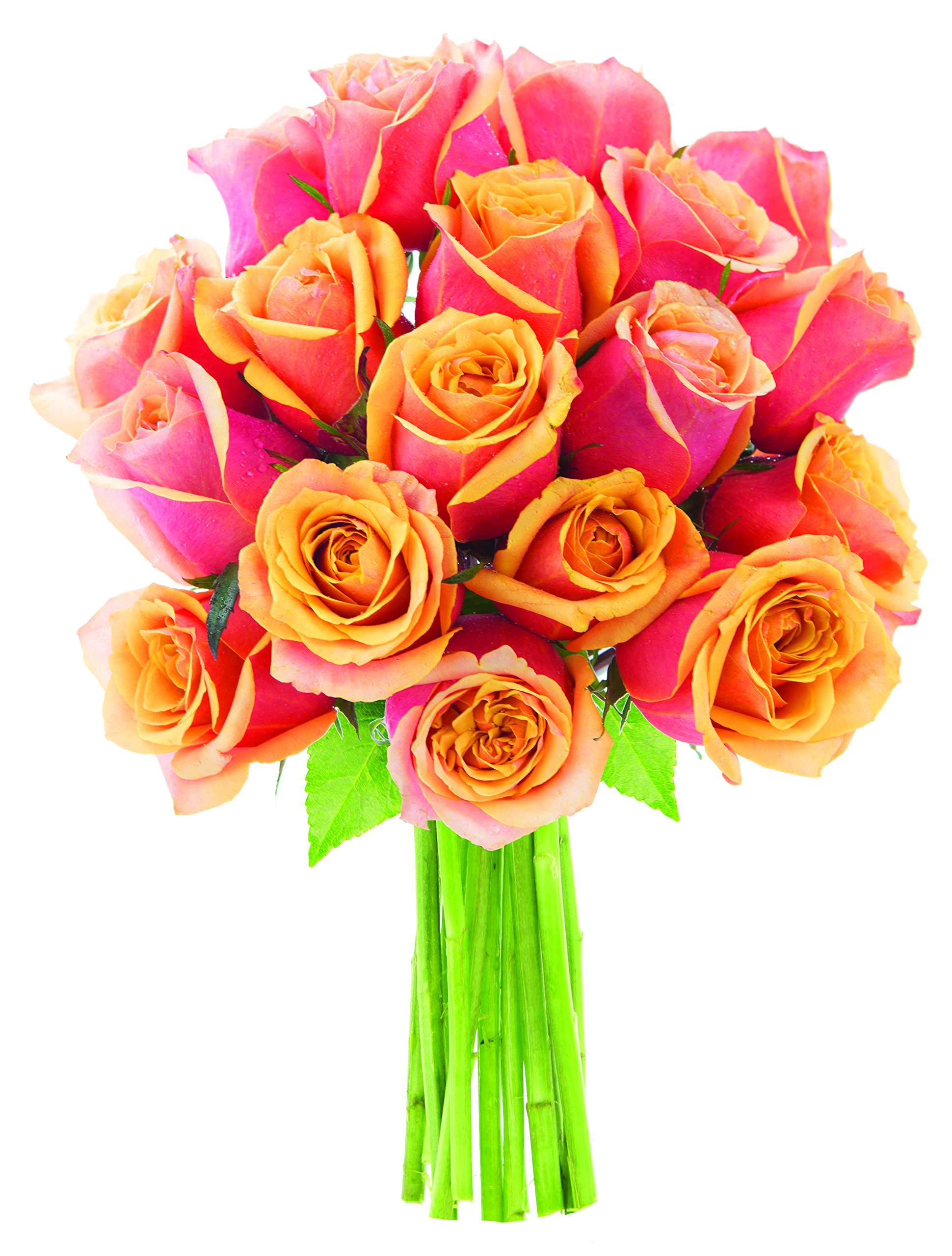 Fresh Orange Roses Bouquet - 18 Stems Premium Mother's Day Flowers | Next Day Delivery | Home Decor, Wedding Centerpiece, Anniversary Gift, Valentine's Day Present