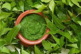 Pure Pik Organic Neem Powder 200g - Natural Neem Leaf Powder for Skin Care, Hair Growth & Face Mask | USDA Certified, Vegan, Chemical-Free | Perfect for DIY Beauty Treatments & Ayurvedic Remedies