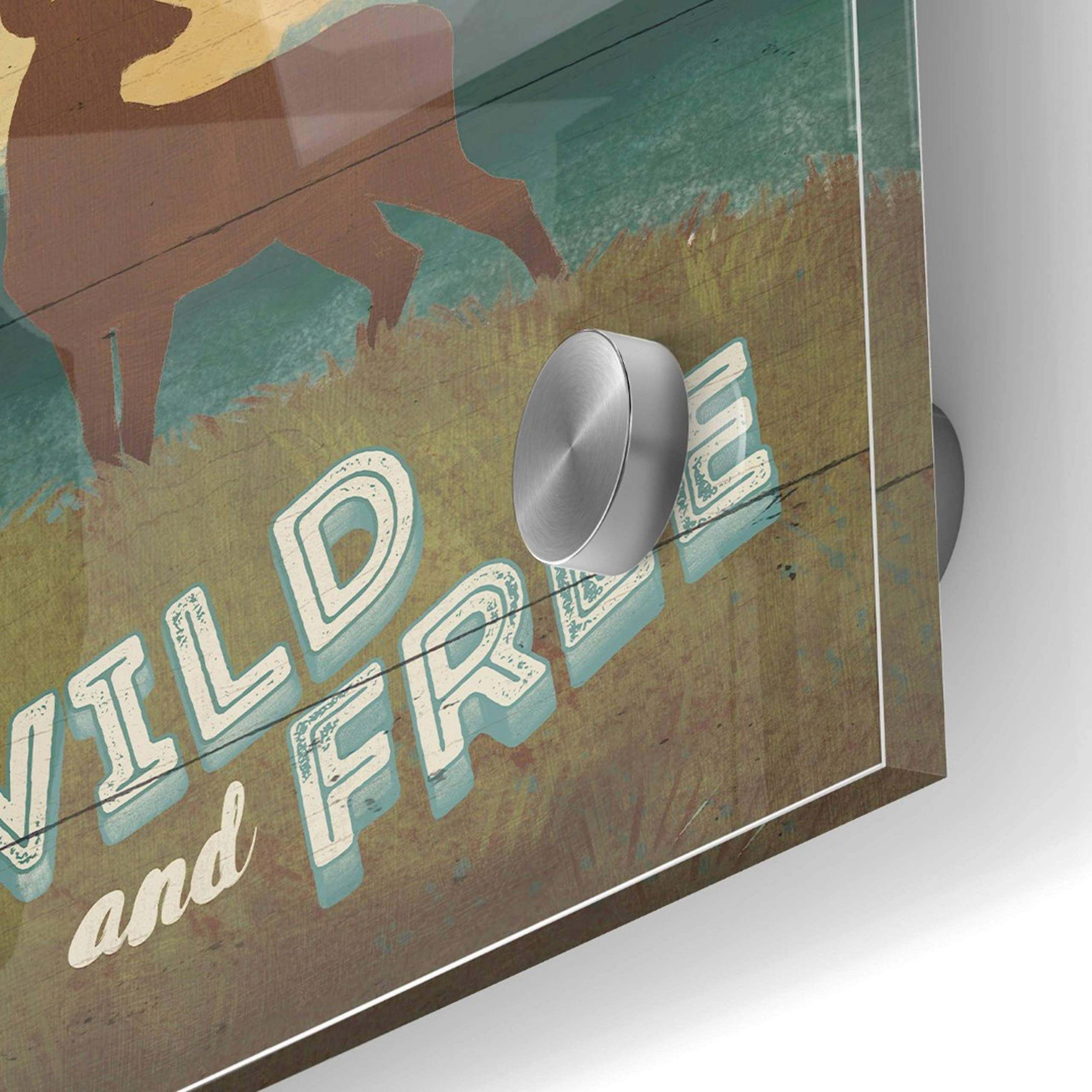 Epic Art 'Discover the Wild II' by Janelle Penner - 24x24 Inch Acrylic Glass Wall Art Painting - Modern Home & Office Decor for Living Room, Bedroom or Gallery Display