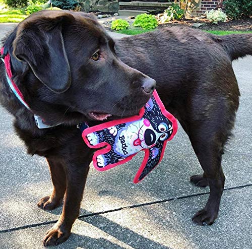 FUZZU All Ears Dog Chew Toy - Durable Squeaky Chew Toy for Small Dogs (5 Inch) - Tough Puppy Teething Toy for Aggressive Chewers - Perfect for Indoor Play & Outdoor Training