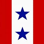 Blue Stars Mom 2