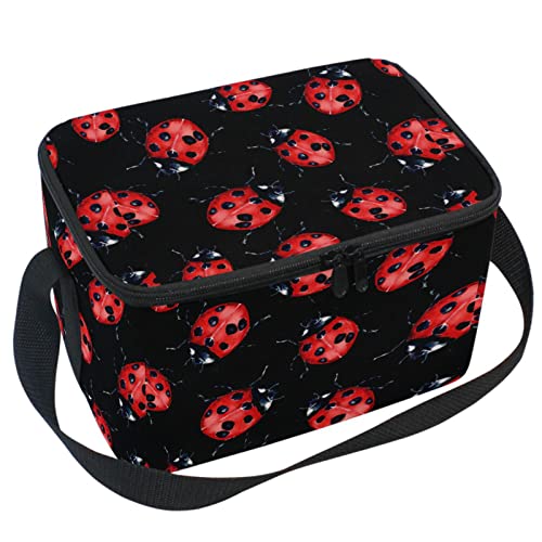 Ladybug