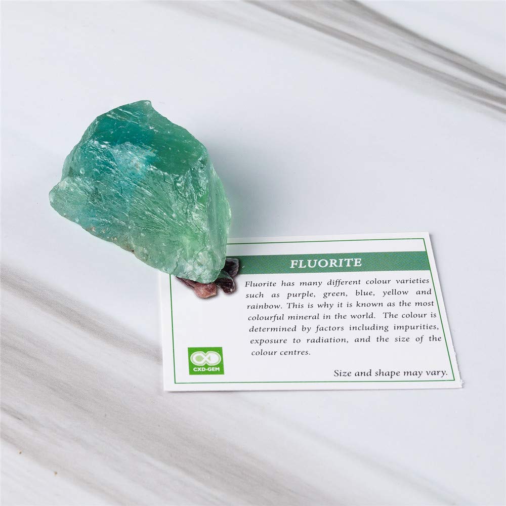 Natural Rough Green Fluorite Stones Collection - 7x5x2 Inch Flat Display Box for Chakra Healing, Meditation & Energy Work - Perfect for Reiki, Crystal Grids & Spiritual Decor