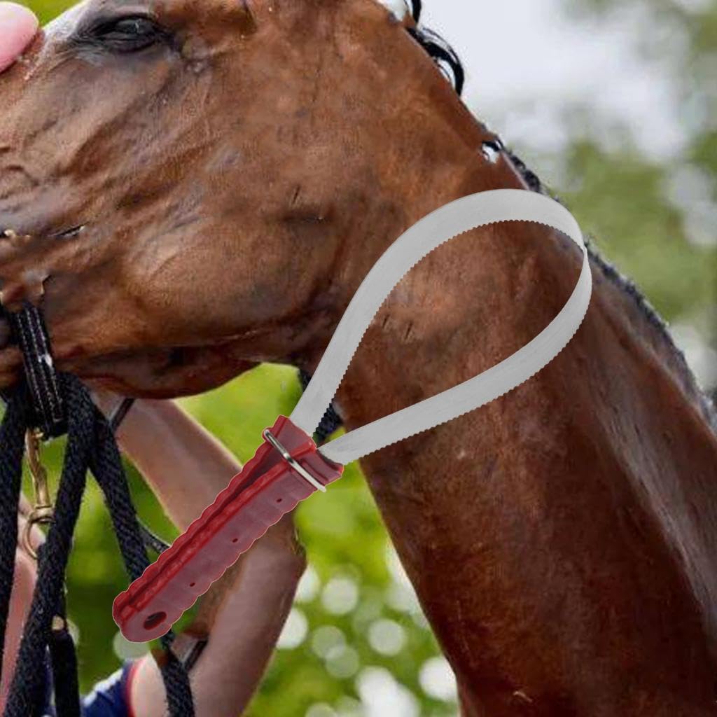 Professional Metal Horse Shedding Blade & Curry Comb Set - Grooming Tool for Horses, Donkeys, Livestock & Dogs - Perfect for Shedding Season & Stable Grooming Sessions