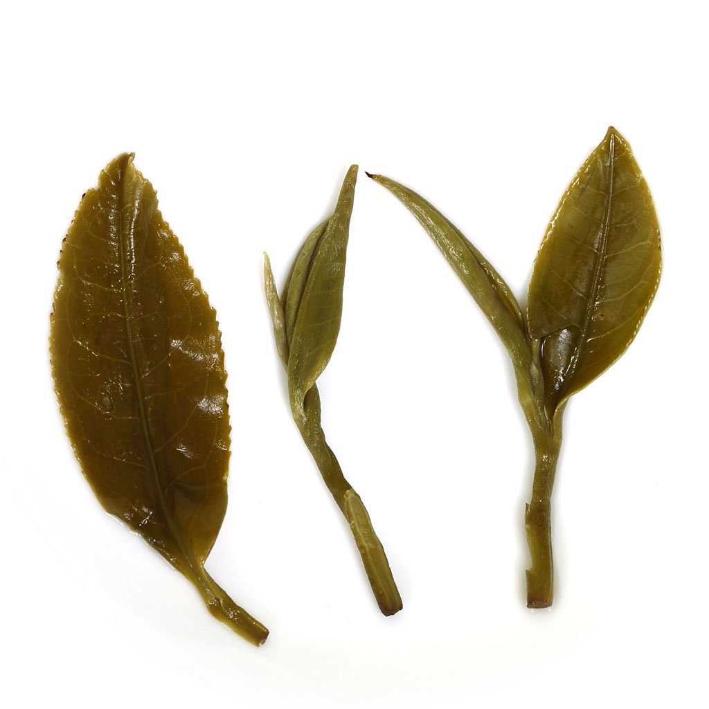 Premium Suzhou Biluochun Green Tea Loose Leaf - 250g (8.8oz) x 4 Pack - Authentic Snail-Shaped Chinese Green Tea - Nonpareil Supreme Spring Harvest - Perfect for Morning Refreshment, Afternoon Relaxation & Tea Ceremonies
