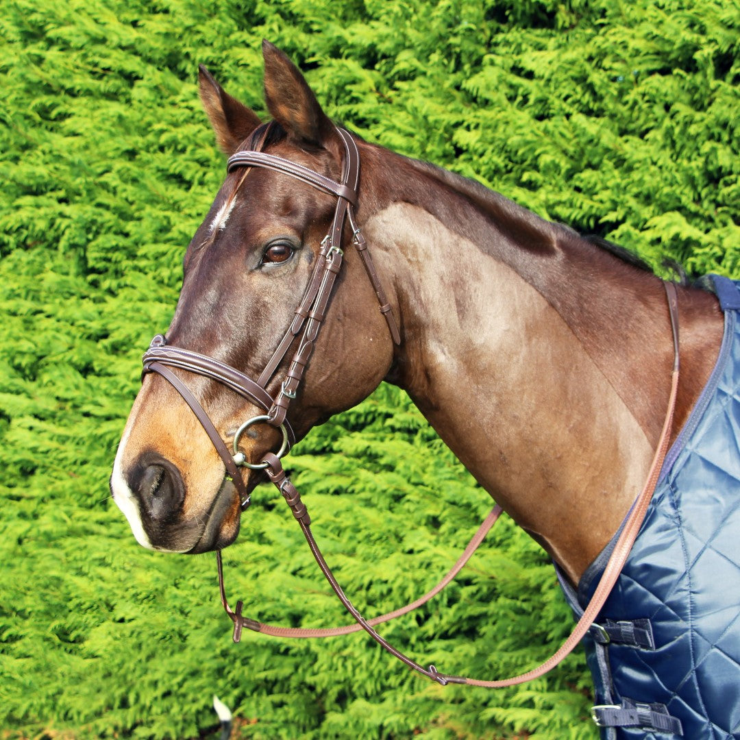 Premium Cavallino Mclean Anatomic Bridle with Reins – Comfortable & Adjustable Horse Riding Equipment for Dressage, Jumping & Trail Riding