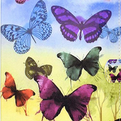 05# Rainbow Butterfly