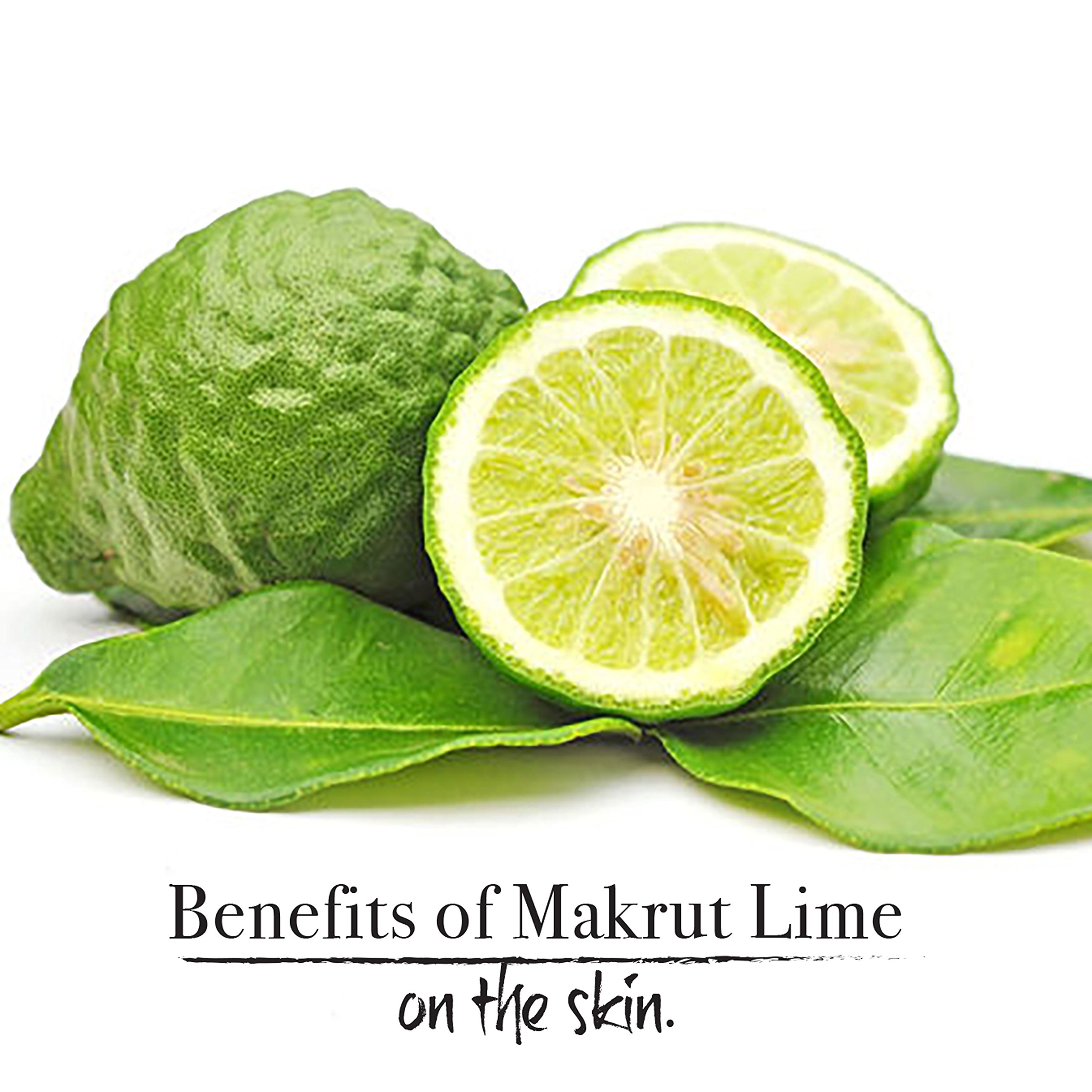 Makrut Lime Moisturizing Body Wash - Hydrating & Refreshing Shower Gel for Dry Skin | Perfect for Daily Use & Spa Days