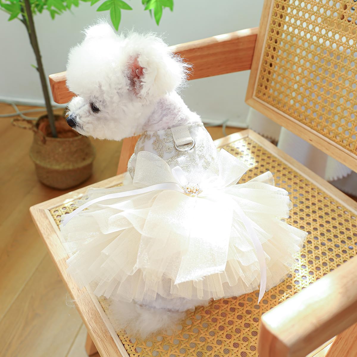Adorable Pet Tutu Dress for Small & Medium Dogs & Cats - Cute Gauze Puppy Party Outfit for Small Girl Dogs (Tutu Dress, Medium) | Perfect for Birthday Parties, Photo Shoots & Special Occasions