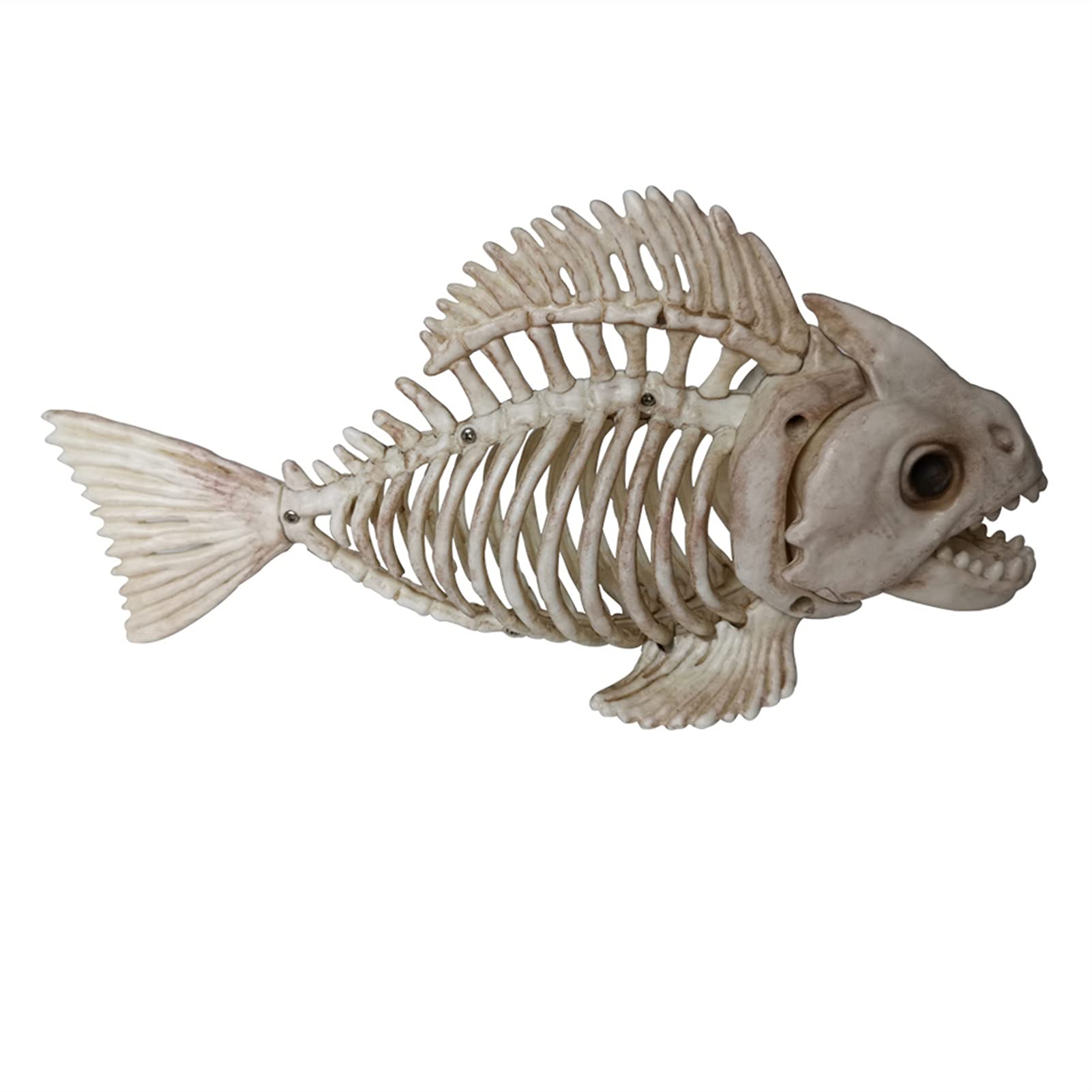 QIUMIN Halloween Animal Bones Decorations - Creepy Skeleton Props, Piranha Fish Skeleton for Masquerade Party (Multi-Colored) | Spooky Home Decor, Haunted House Accessories, Horror Party Supplies