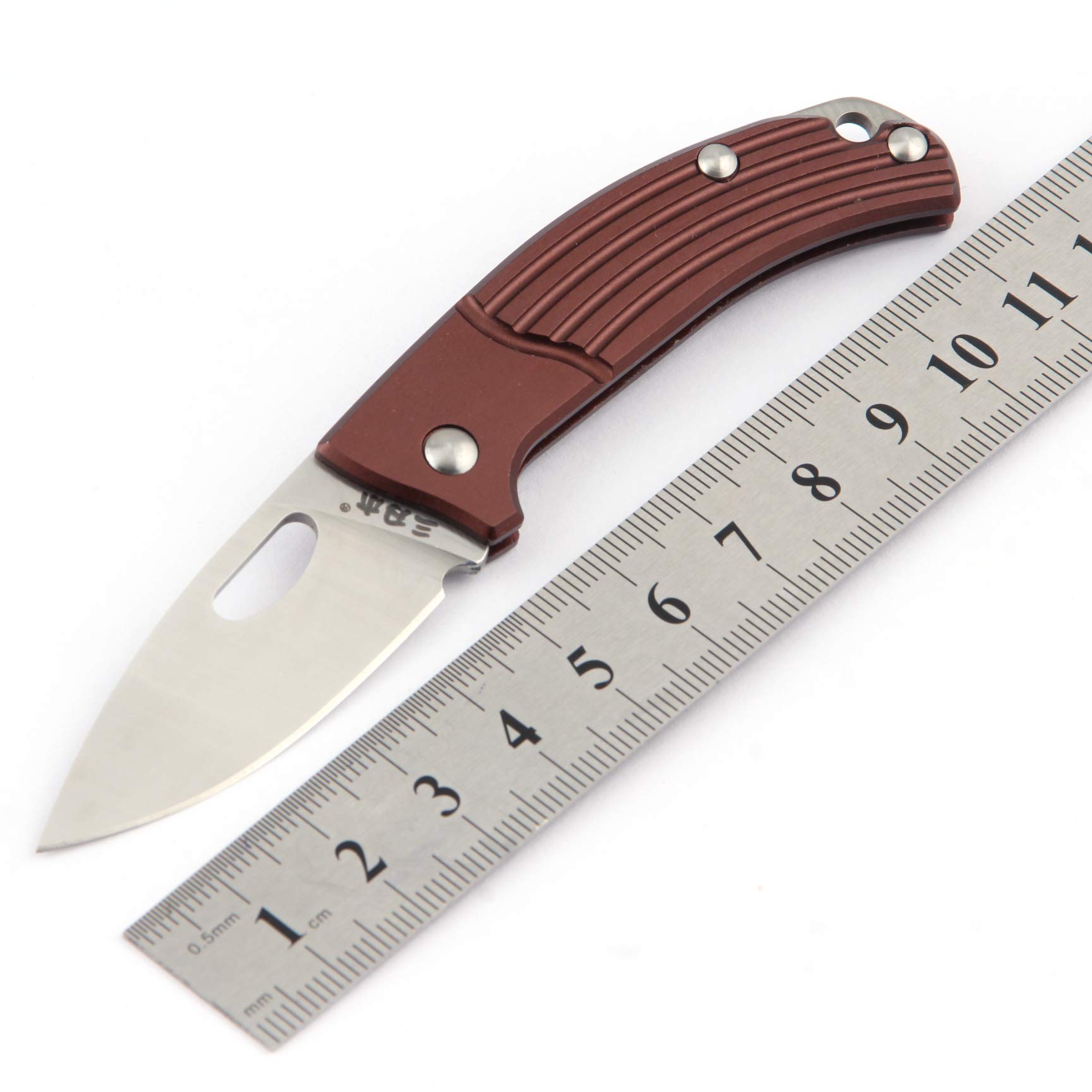 Sanrenmu 4110 Mini Pocket EDC Folding Knife - Compact Everyday Carry Knife for Camping, Hiking & Outdoor Survival - No Lock Design for Safe Use