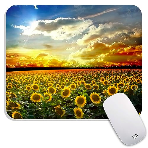 AM045-Sunflower