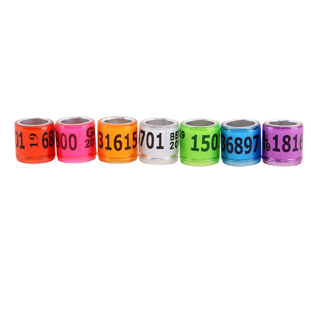 100pcs Colorful Racing Pigeon Leg Bands - Durable Poultry Foot Rings for Homing Pigeons, Chickens & Birds - Perfect for Breeding, Tracking & Identification (Multicolor) - Ideal for Pigeon Racing, Poultry Farming & Bird Watching