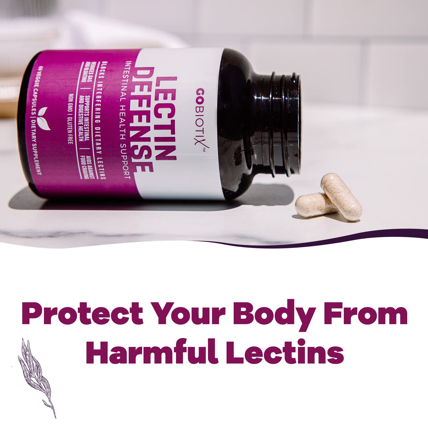 GobiOtiX Lectin Defense Supplement - MSM & Digestive Enzymes for Gut Health - Supports Intestinal Wellness for Men & Women - Non-GMO, Gluten Free Lectin Blocker - 60 Capsules - Perfect for Digestive Support & Lectin-Rich Diet Management