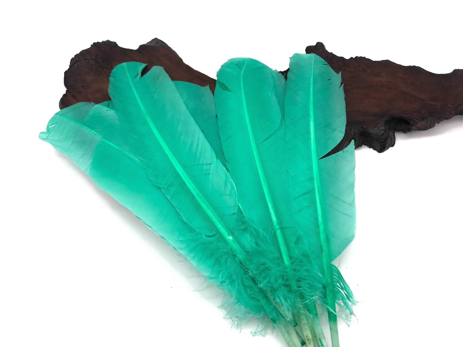 1 Lb. Bulk Aqua Green Turkey Tom Rounds Secondary Wing Quill Feathers for Halloween Crafts, DIY Costumes & Home Decor | Wholesale Craft Supplies by Moonlight Feather