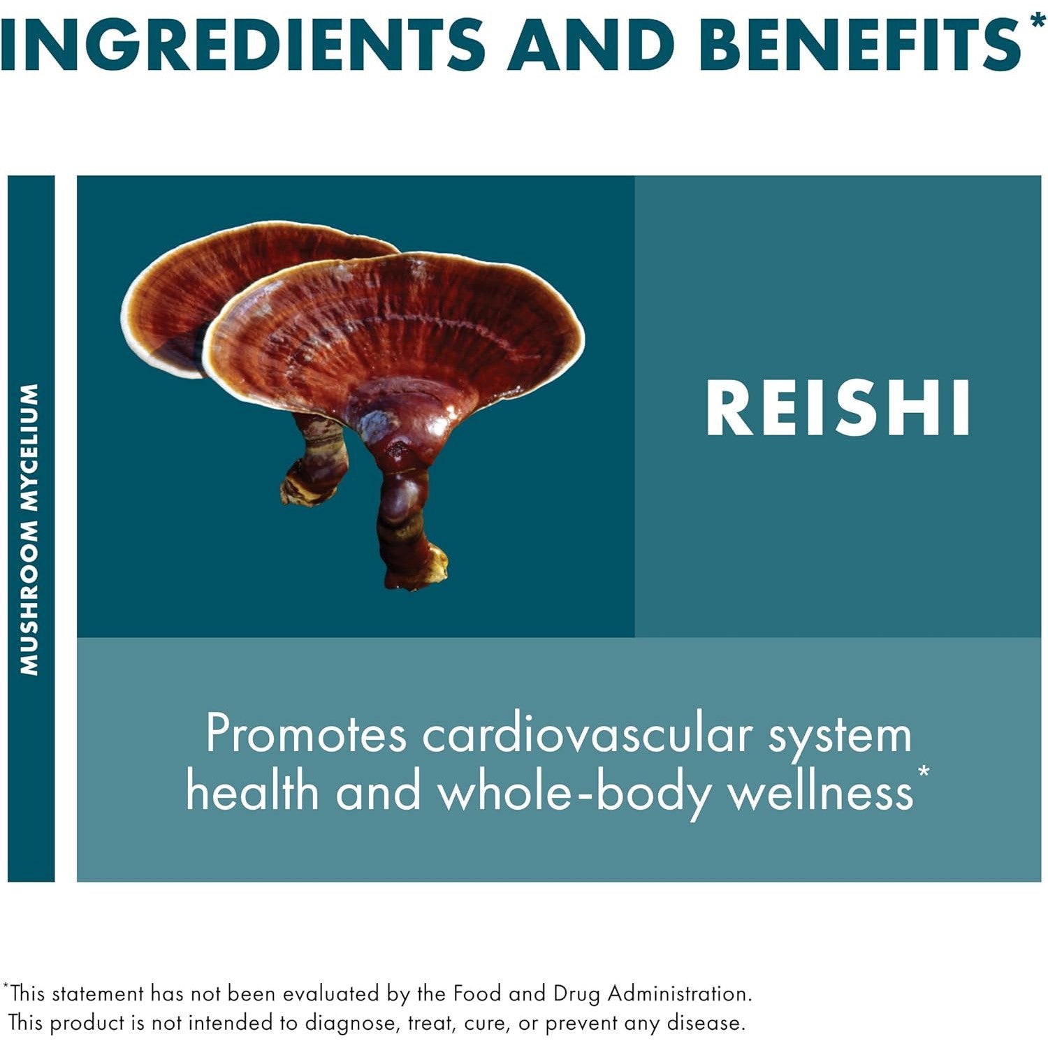 Host Defense Reishi Mushroom Capsules - Organic Immune Support Supplement for Wellness & Stress Relief - Use for Daily Health Boost, Immune System Support & Relaxation