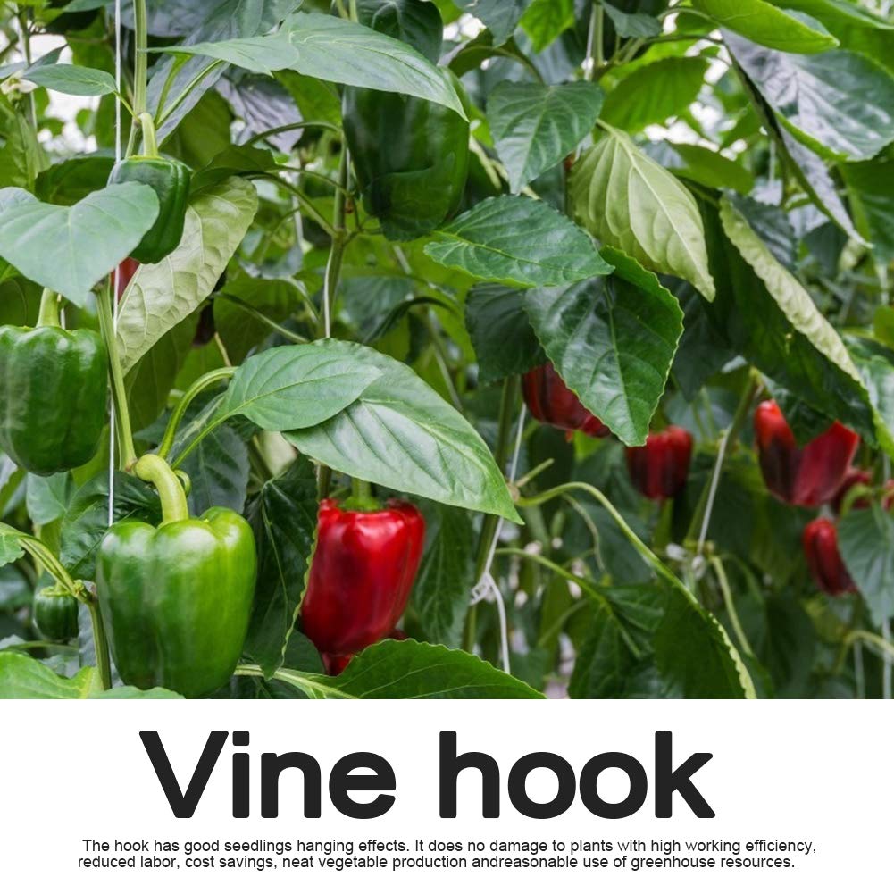 DAMEING 20Pcs Plant Climbing Hooks - Tomato Support J Hooks for Garden & Vine Plants