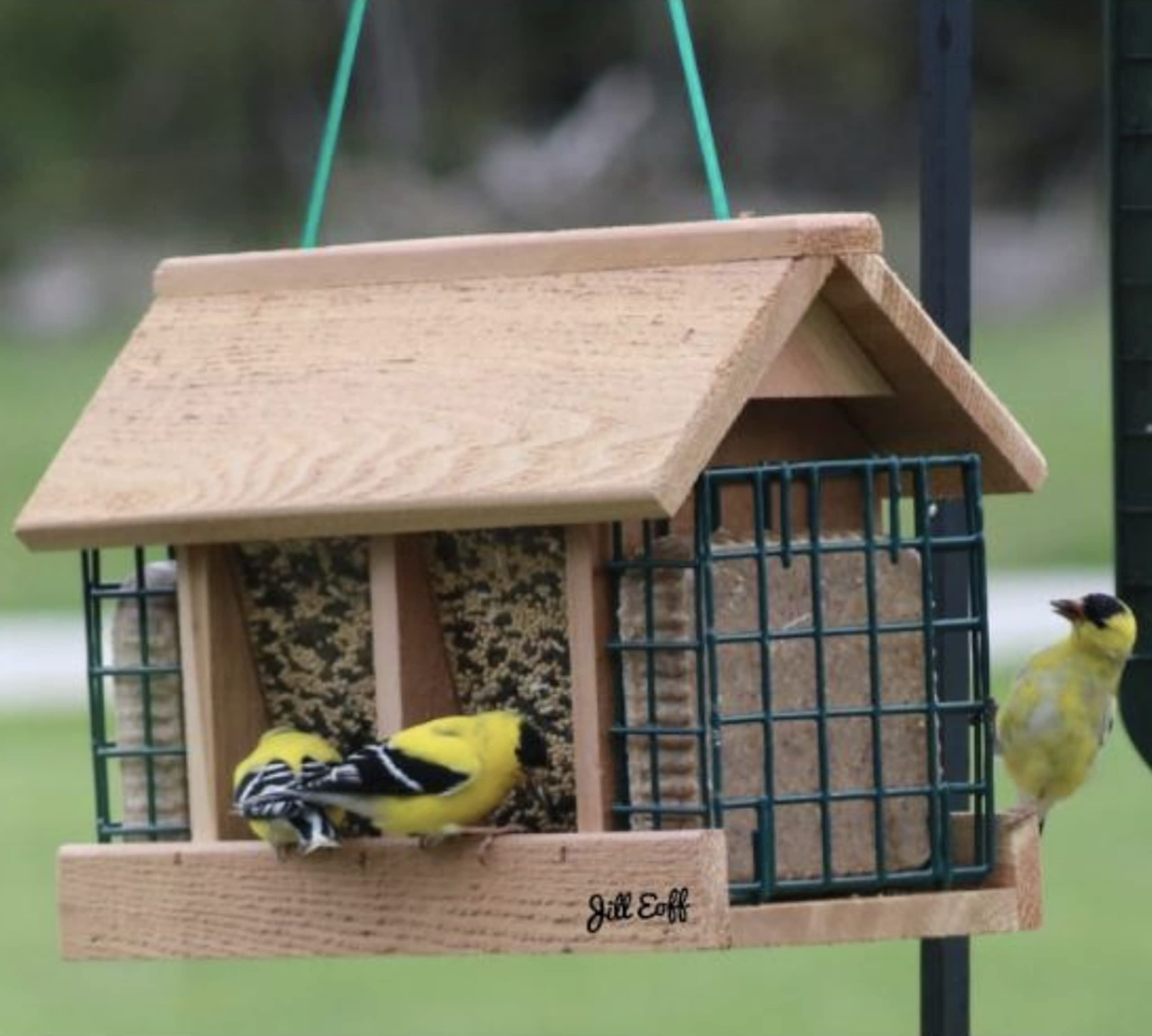 Premium Cedar Hopper Bird Feeder with Dual Seed & Suet Cages - Attract Wild Birds with 2 Feeding Options - Perfect for Backyard, Garden & Bird Watching Enthusiasts