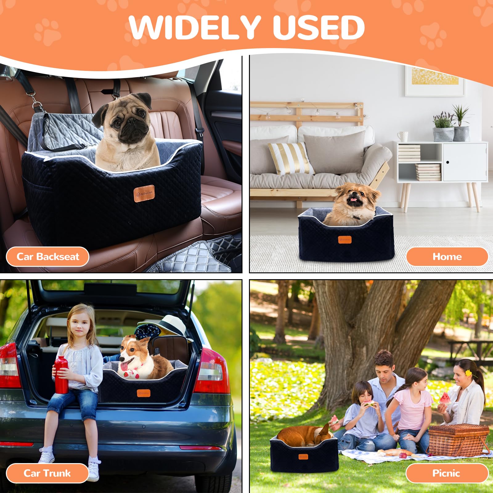**Memory Foam Dog Booster Car Seat for Medium Dogs Under 45 LBS – Washable & Anti-Slip Pet Car Seat for Back Seat Only – Travel Dog Bed with Seat Belt – Perfect for Road Trips & Safe Car Rides**