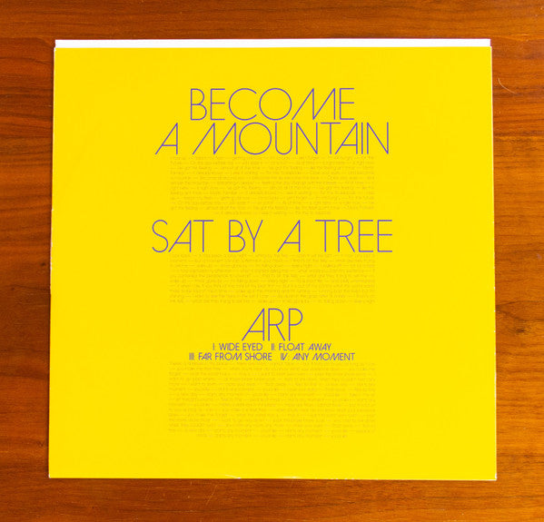 Dan Deacon - Mystic Familiar Limited Edition Silver Vinyl LP (Near Mint Condition) - Perfect for Collectors & Audiophiles