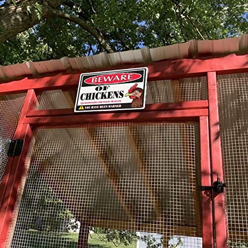 Funny Beware of Chickens Warning Sign - 8
