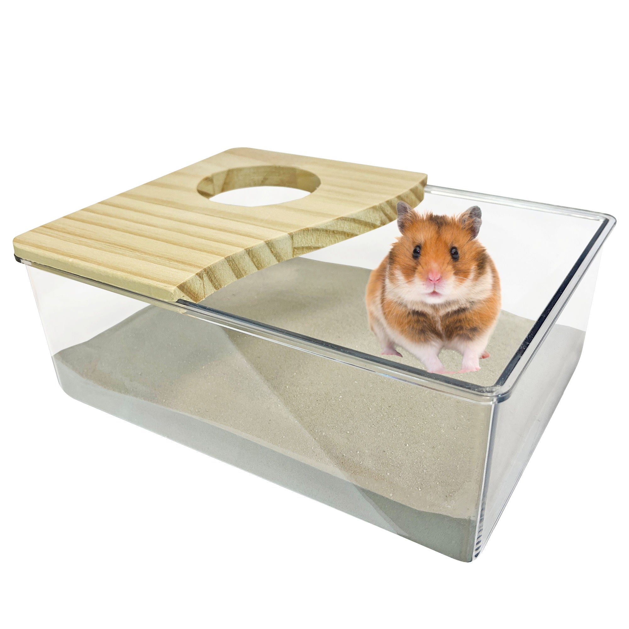 Premium Acrylic Sand Bath for Reptiles & Small Pets - Transparent Habitat for Bearded Dragons, Geckos & Snakes - Ideal for Basking, Digging & Natural Behavior Stimulation