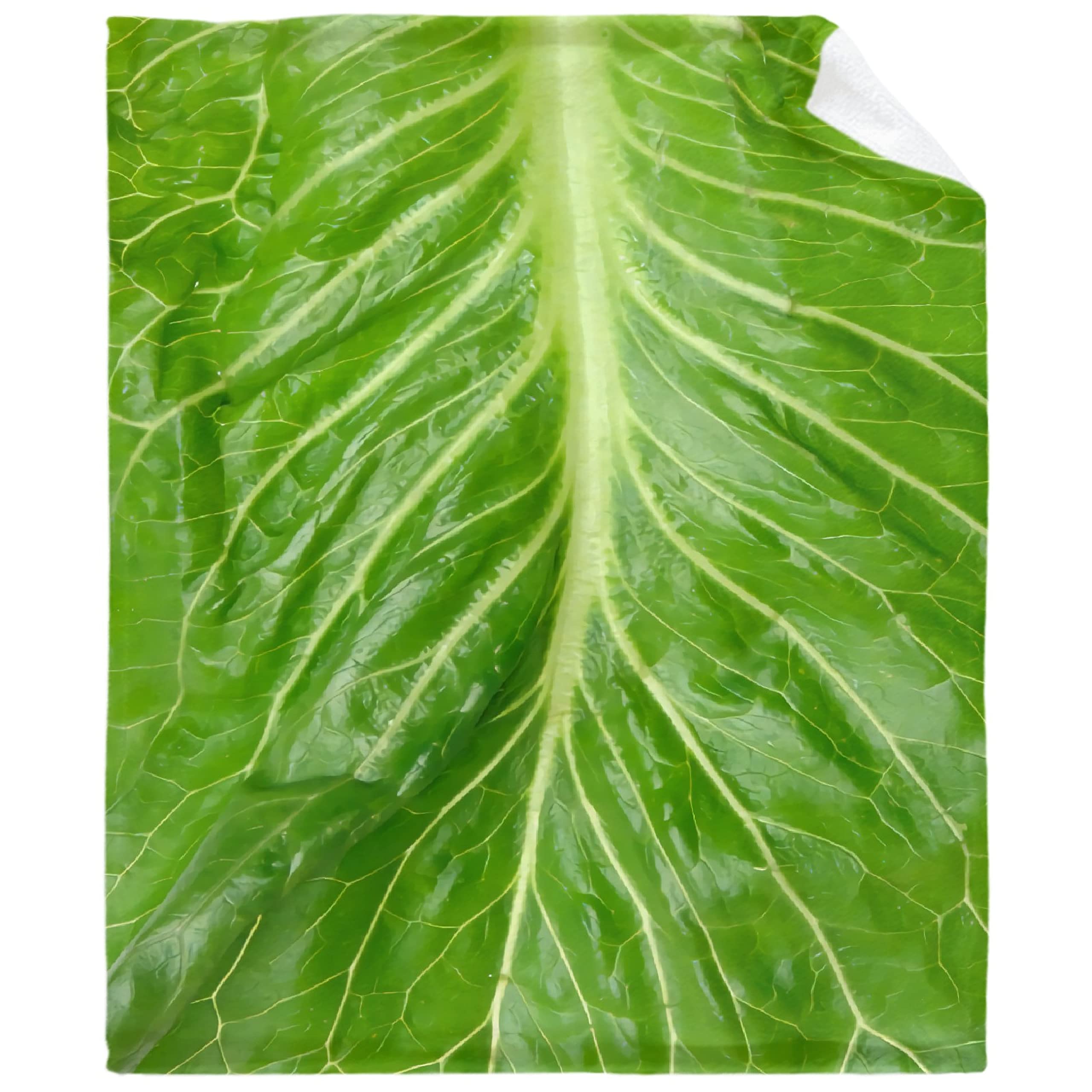 Super Soft Flannel Fleece Lettuce Blanket - Lightweight Cozy Microfiber Throw for Couch, Sofa & Bed | All Season XS 40