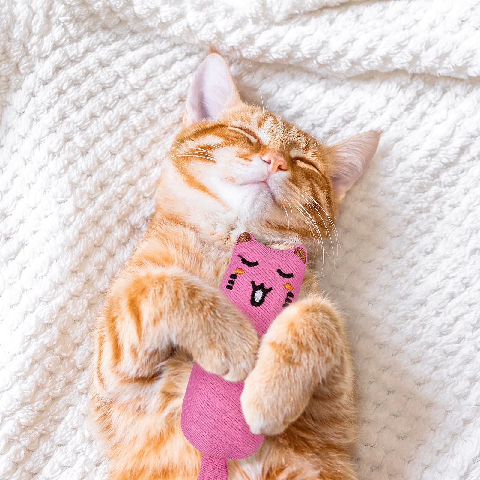 ADAKEL 5-Piece Catnip Toys for Kittens - Natural Cat Chew Toys for Dental Care & Playtime - Interactive Cat Toys for Indoor Cats, Stress Relief & Teething Kittens (Perfect for Playtime, Training & Bonding)