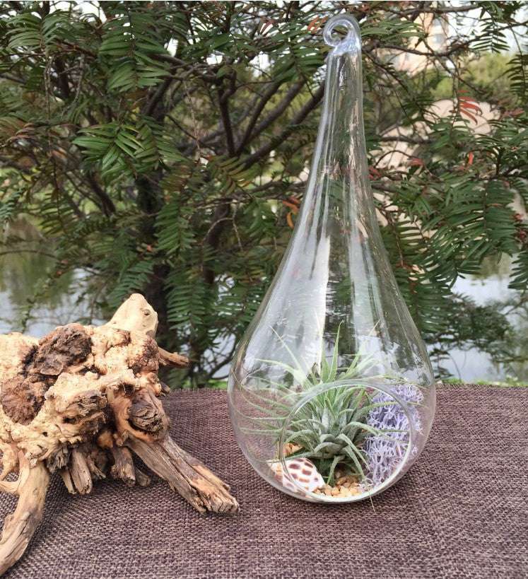 10 Pack Clear Glass Tealight Candle Holders - Hanging Tear Drop Pear Hourglass Shape (20cm High) for Terrariums, Mini Gardens, Wedding Decor & DIY Crafts - Perfect Home Decoration Gift Set
