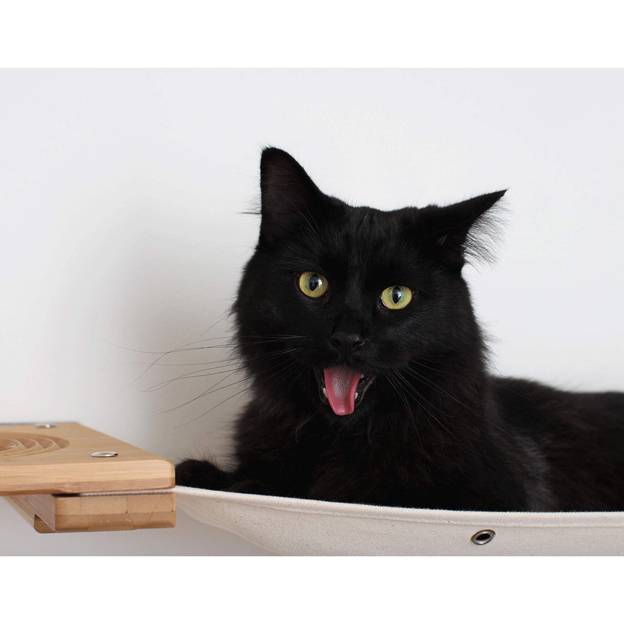 Multi-Level Cat Hammock & Climbing Wall Shelf - Space Saving Cat Activity Center with Scratching Posts, English Chestnut/Charcoal - Perfect for Indoor Cats, Small Apartments & Wall-Mounted Play Areas