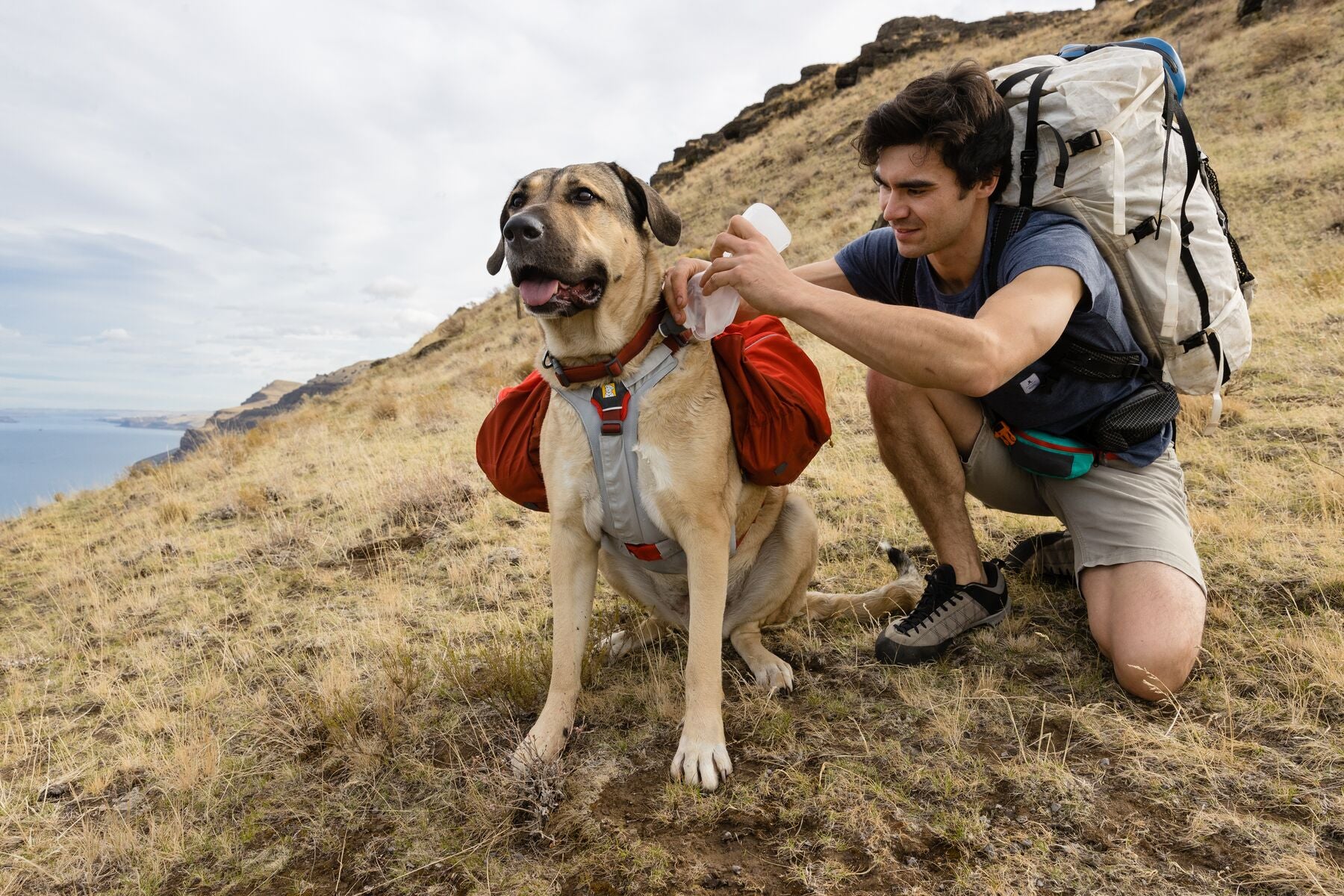 Ruffwear® Swamp Cooler Core® Protector - Cooling Vest for Dogs, Chest & Stomach Cooler - Perfect for Hiking, Running & Outdoor Adventures in Hot Weather