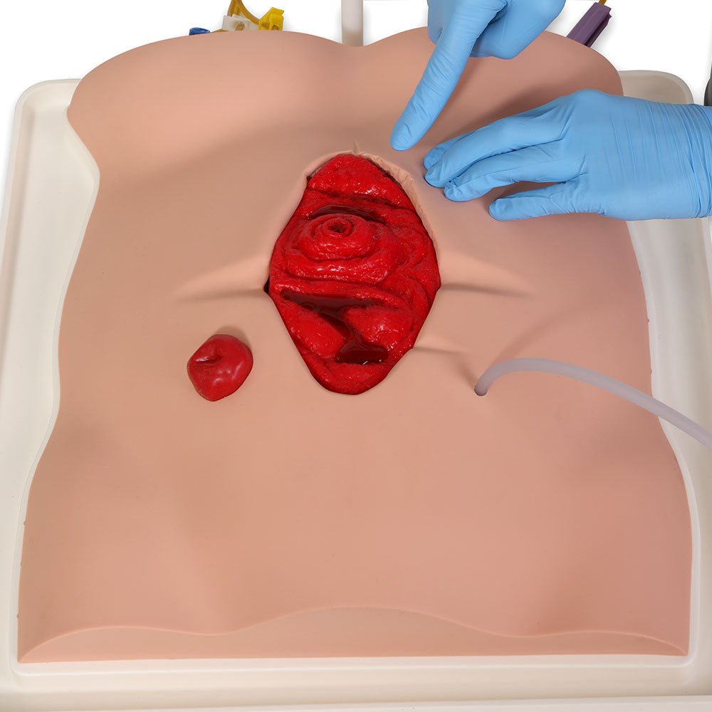 Freddie Fistula™ Hemodialysis Skills Trainer Kit with Carrying Case - Perfect for Nursing Students & Dialysis Training Practice