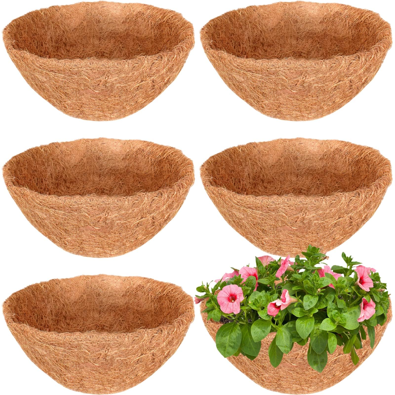 6PCS 14