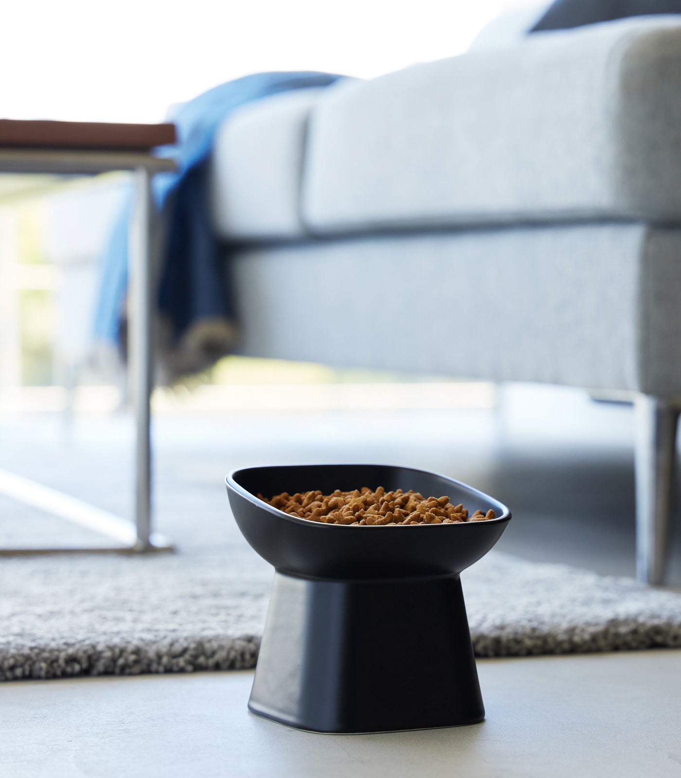 Slanted Elevated Dog Cat Food Bowl - Anti Vomiting & Bloat Slow Feeder for Small Medium Large Pets - Perfect for Mealtime Comfort & Digestion Aid