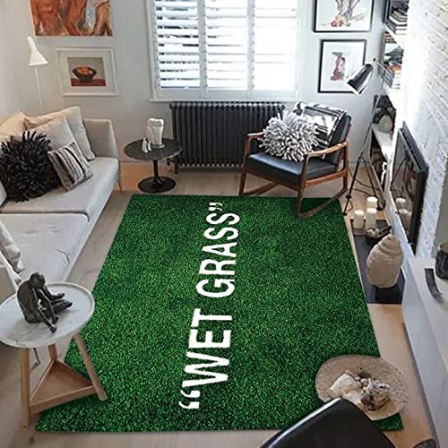 FLYLH Soft Plush Grass Rug - 23.62x35.43 Inch Green Artificial Turf Carpet for Living Room, Bedroom, Nursery Decor - Non-Slip Floor Mat for Indoor Sofa, Bay Window, Play Area & Home Decoration