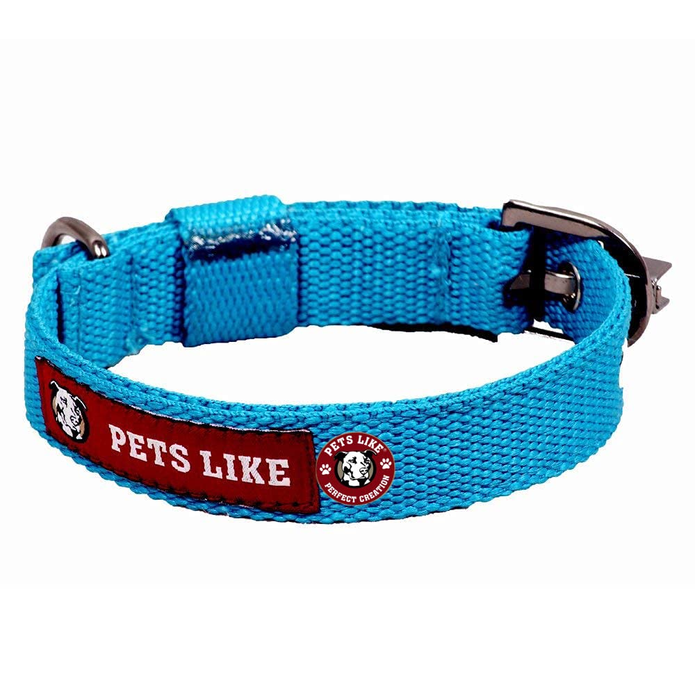 **Perfect Creation Pet Collar - Sky Blue, 20mm Width - Comfortable & Durable Dog Collar for Small to Medium Dogs - Ideal for Daily Walks & Outdoor Adventures**