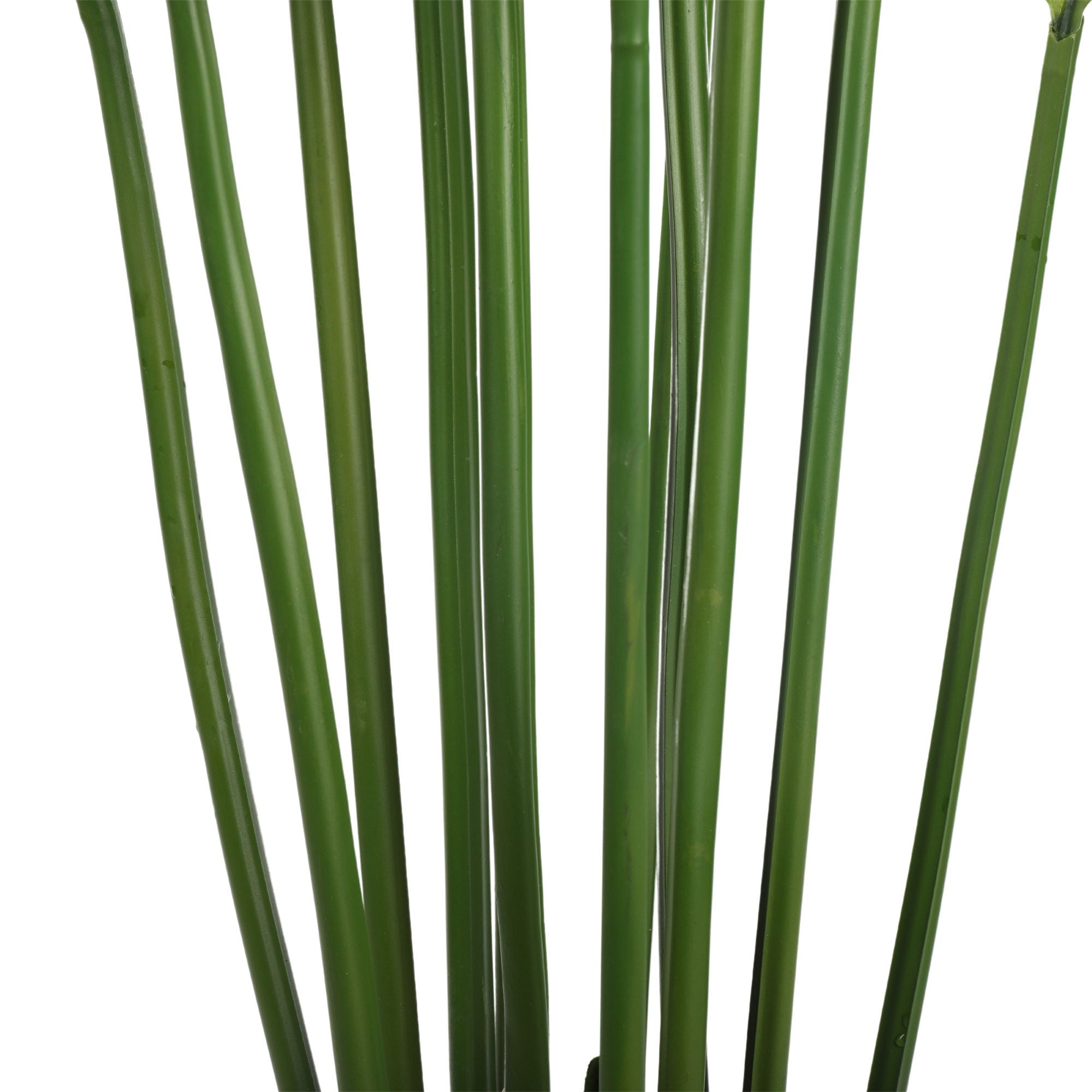 Artificial Multi Stem Hawaii Palm Tree 190cm - Realistic Fake Tropical Plant for Home Decor, Office, Party & Wedding Decorations